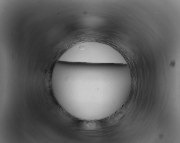 X0000103450181200809121134