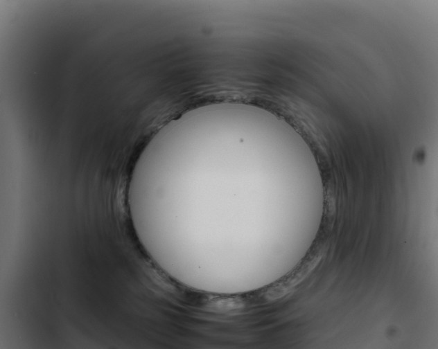 X0000103450185200809121134