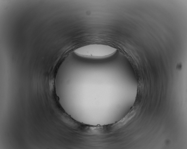 X0000103450188200809121134
