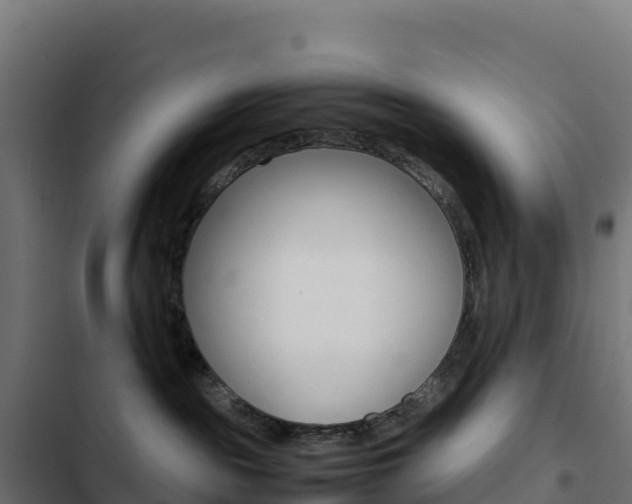 X0000103450189200809121134