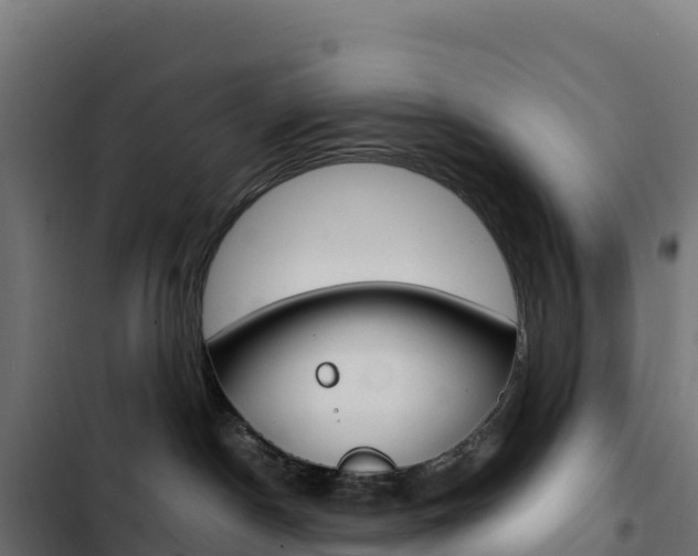X0000103450190200809121134