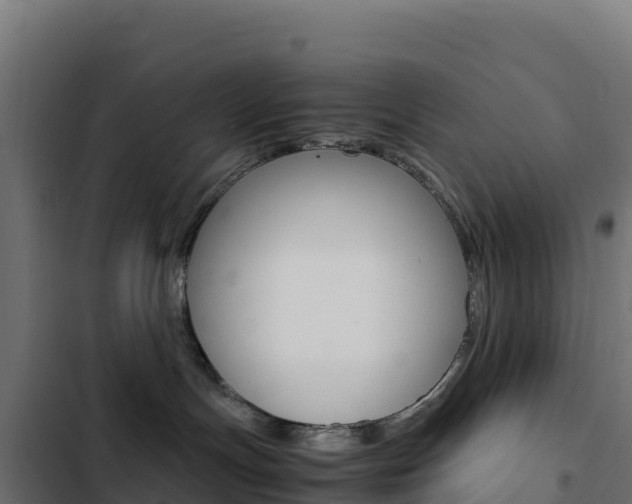 X0000103450191200809121134