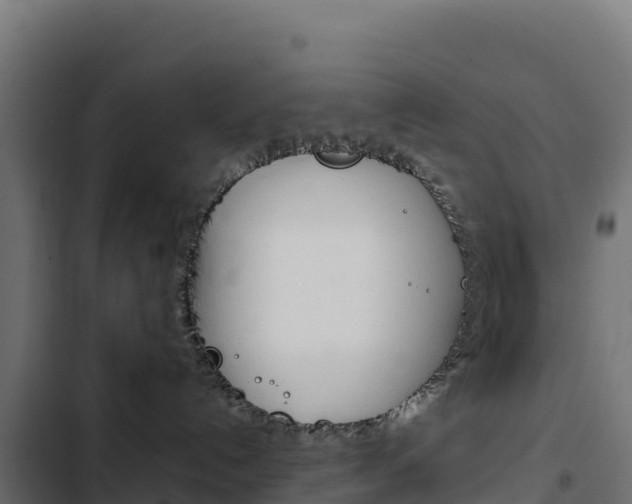X0000103450192200809121134