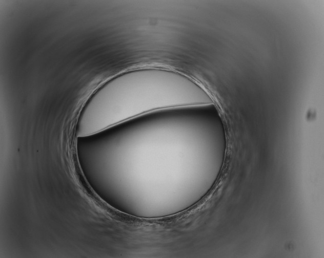 X0000103450193200809121134