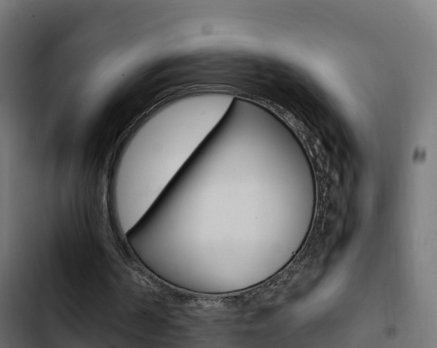X0000103450194200809121134