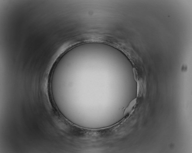 X0000103450195200809121134