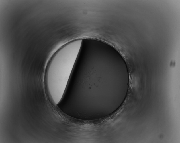 X0000103450196200809121134