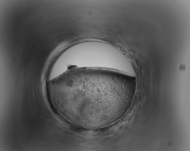 X0000103450197200809121134