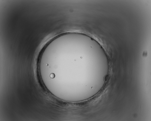 X0000103450199200809121134