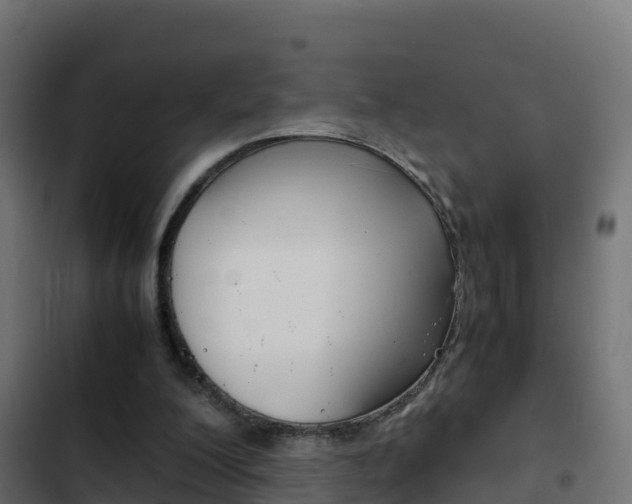 X0000103450200200809121134