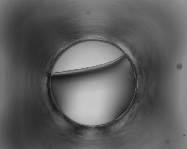 X0000103450201200809121134