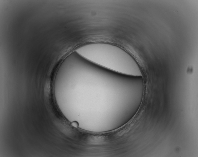 X0000103450202200809121134