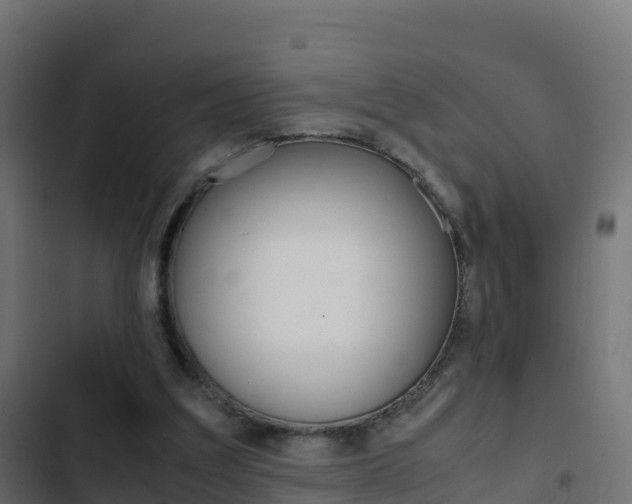 X0000103450203200809121134