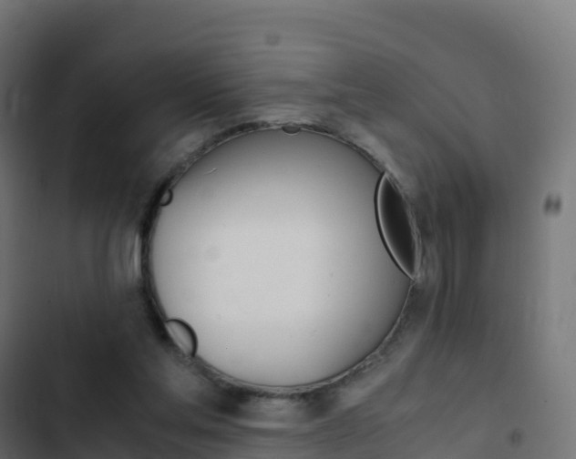 X0000103450205200809121134