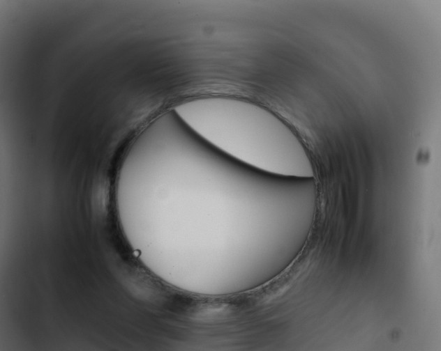 X0000103450206200809121134
