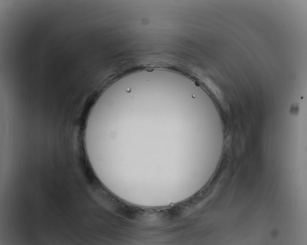 X0000103450209200809121134