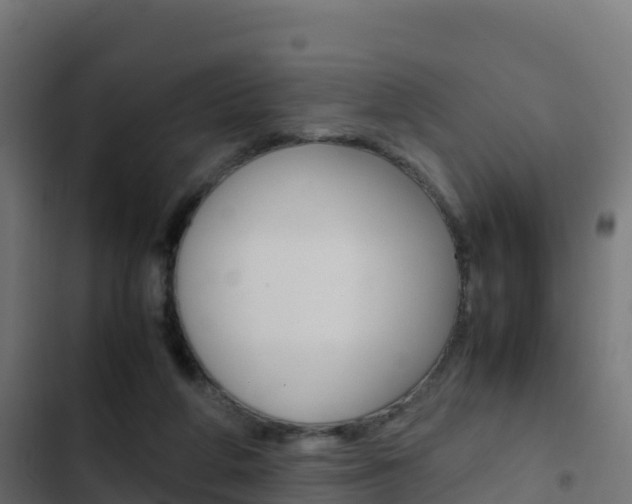 X0000103450210200809121134