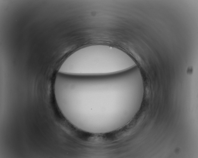 X0000103450211200809121133