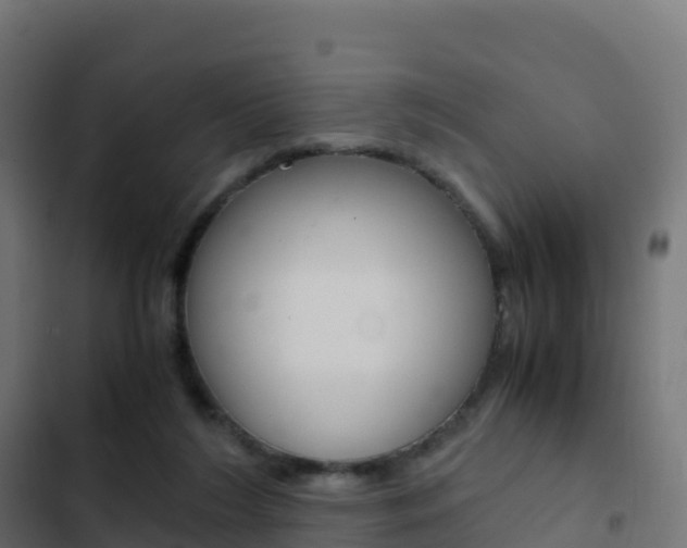 X0000103450212200809121133