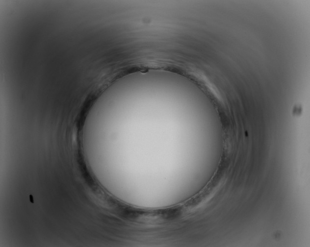X0000103450213200809121133