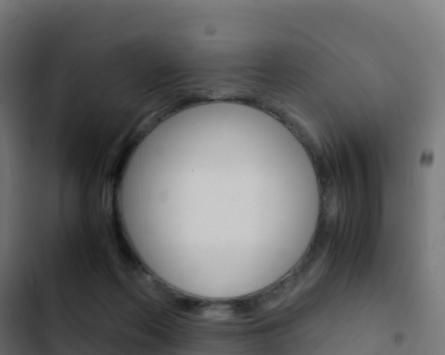 X0000103450214200809121133