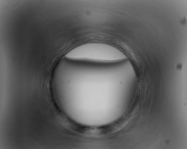 X0000103450217200809121133