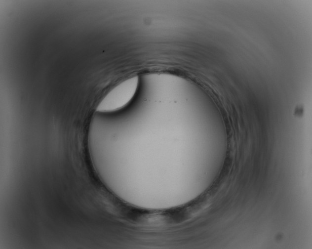 X0000103450219200809121133