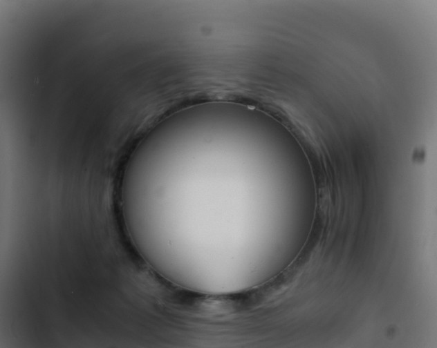 X0000103450221200809121133