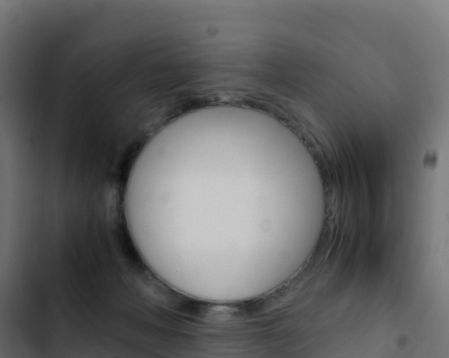X0000103450222200809121133