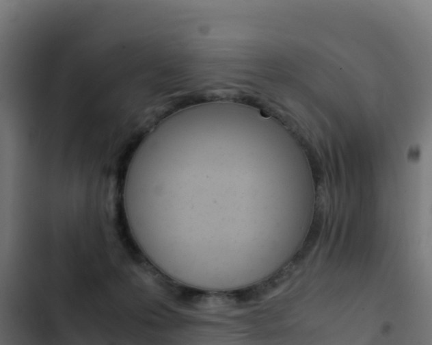 X0000103450223200809121133