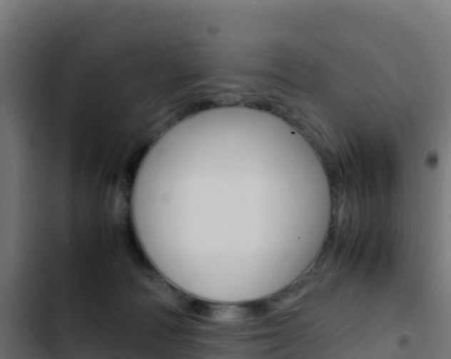 X0000103450226200809121133