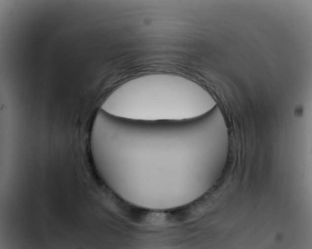 X0000103450227200809121133