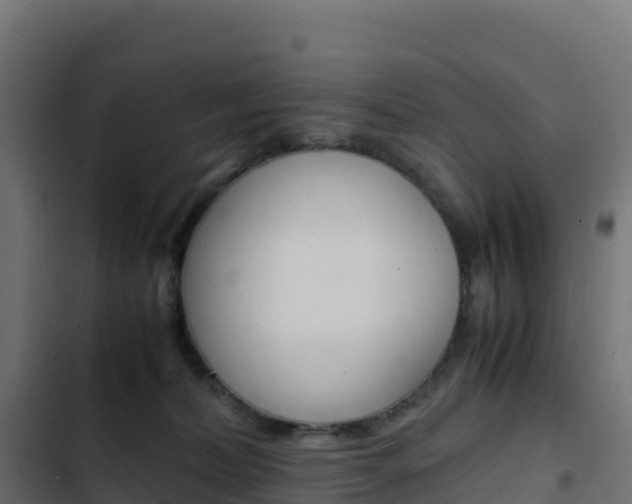 X0000103450228200809121133