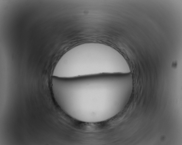 X0000103450229200809121133