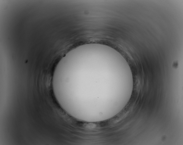 X0000103450230200809121133