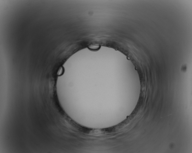 X0000103450231200809121133