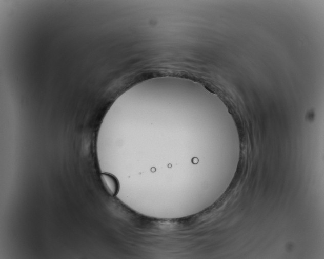 X0000103450233200809121133