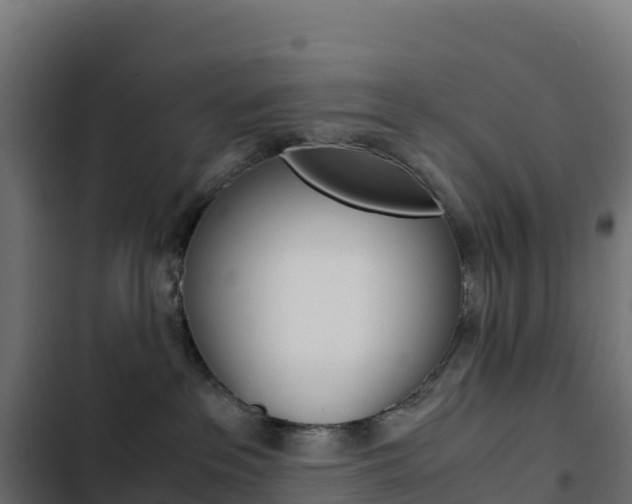 X0000103450237200809121133