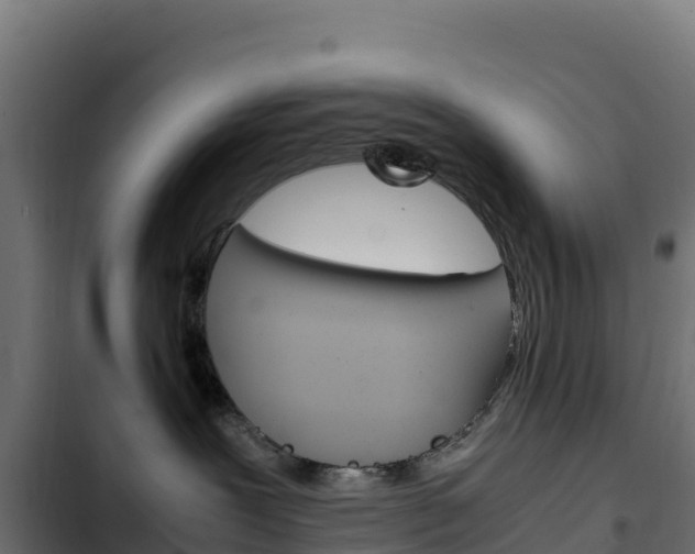 X0000103450239200809121133