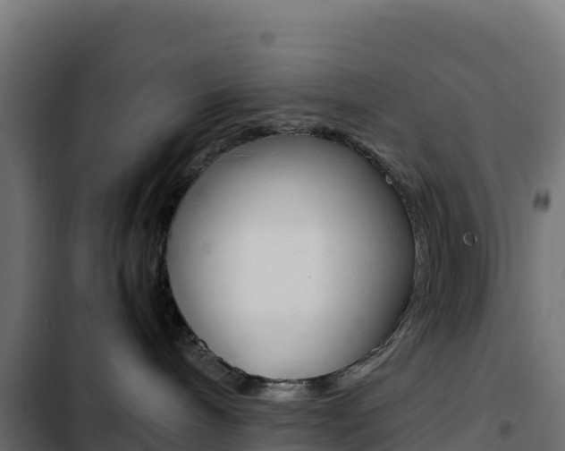 X0000103450240200809121133