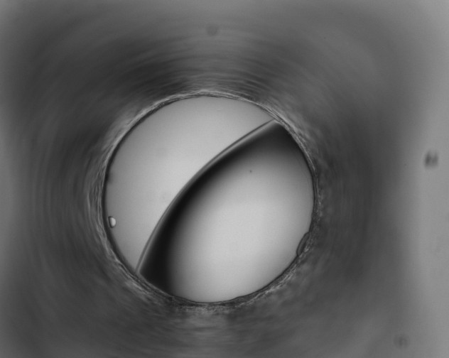 X0000103450241200809121132