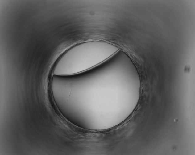 X0000103450242200809121132