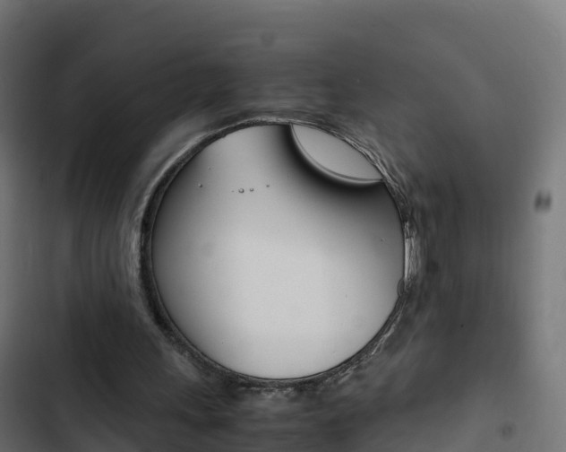 X0000103450243200809121132