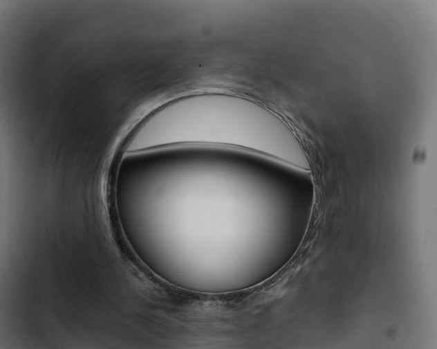 X0000103450244200809121132