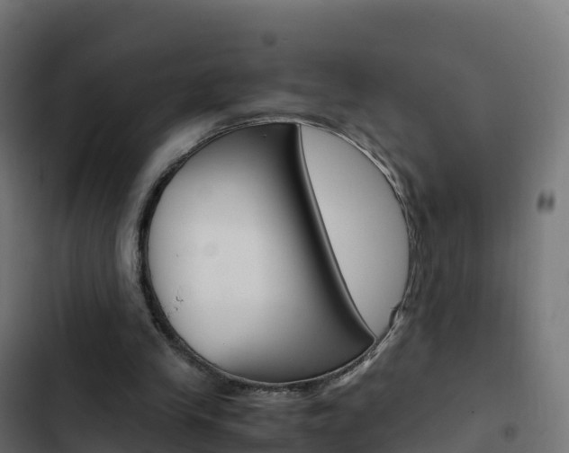 X0000103450245200809121132
