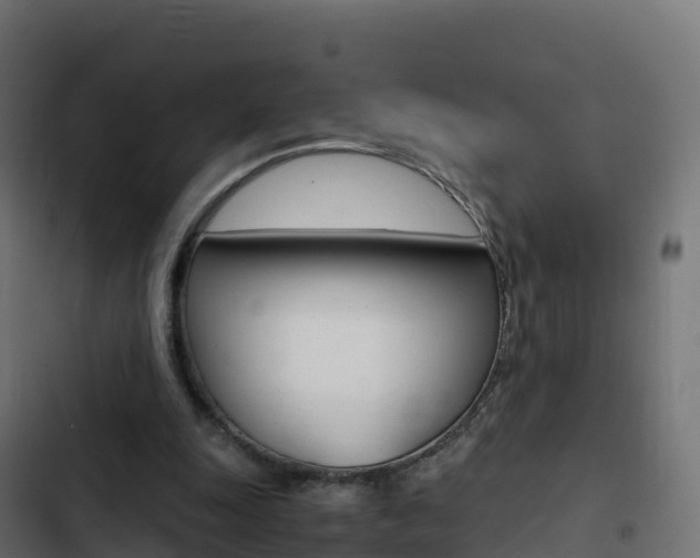 X0000103450247200809121132