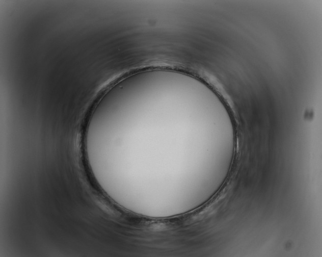 X0000103450249200809121132