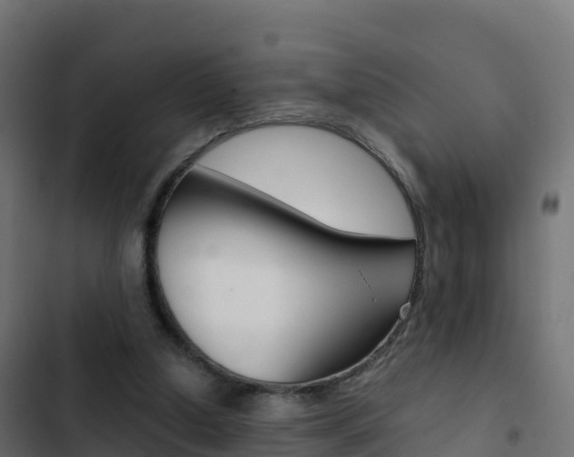 X0000103450250200809121132