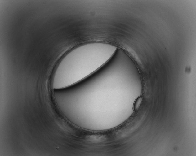 X0000103450251200809121132