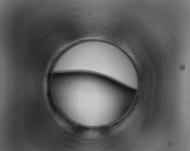 X0000103450252200809121132
